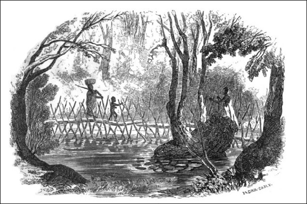 An African Bridge