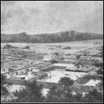 View of Benin City from one of the sacrifice trees