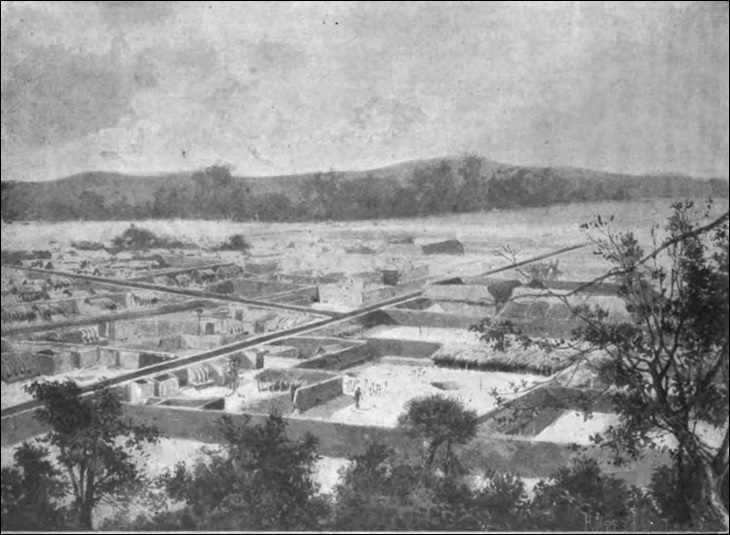 View of Benin City from one of the sacrifice trees