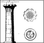 Column of Soleb from Lepsius and Column of Thothmes at Karnak; from Lepsius