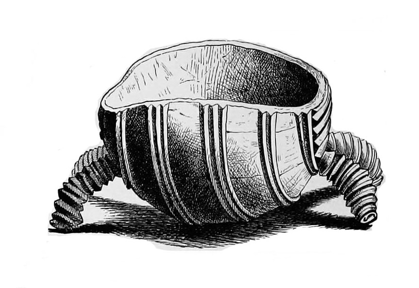 Zulu wooden vessel in the form of a tortoise