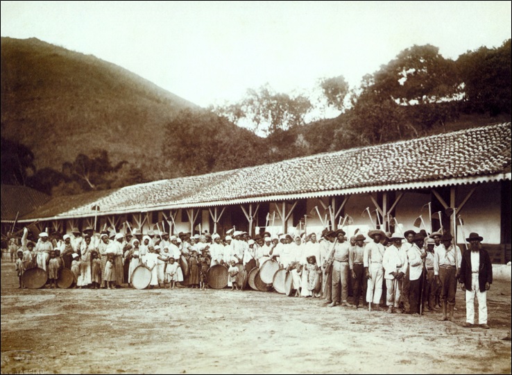 Slaves in a coffe farm in Brazil, c.1885