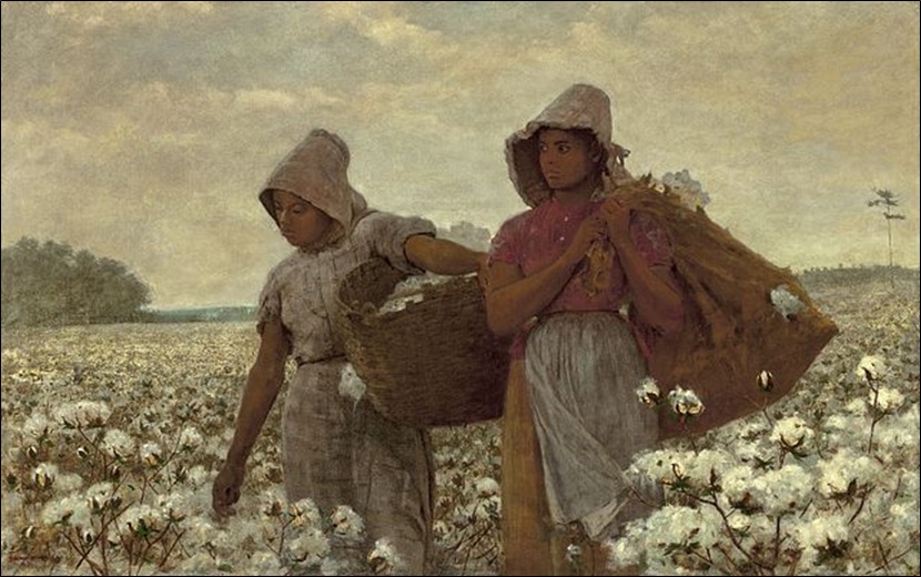 The cotton pickers