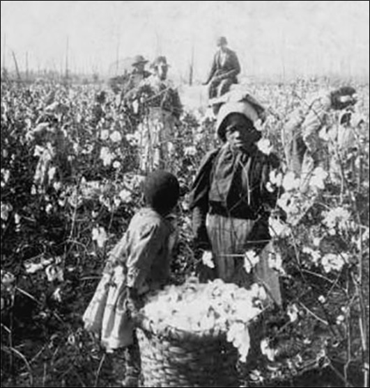 "We'se done all dis's Mornin'." [Girls with bale of cotton in the field.]