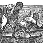 An illustration of slaves Life in the southern states