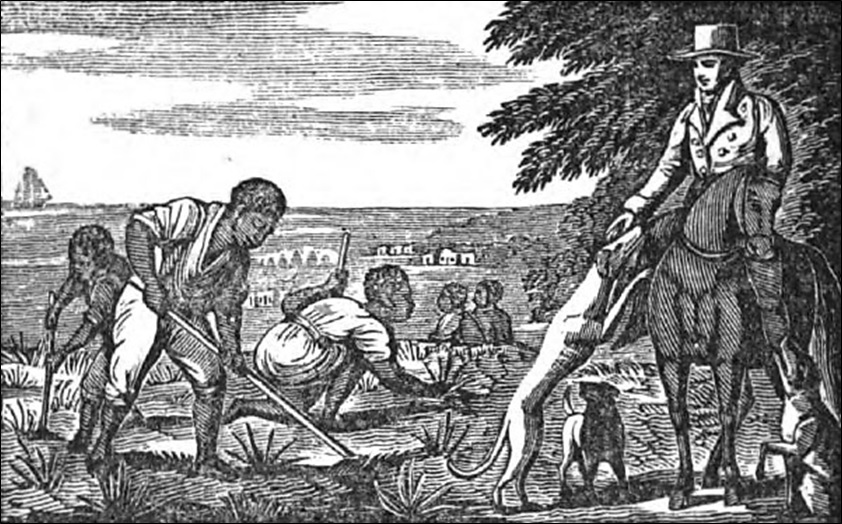 An illustration of slaves Life in the southern states