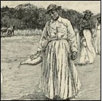 Planting rice on a Carolina plantation