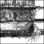 A Bakauba Loom