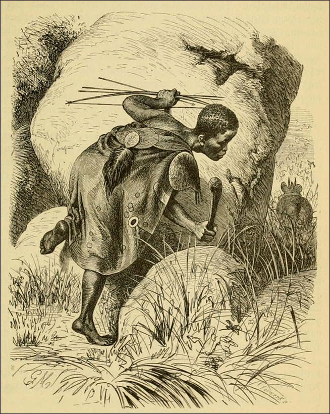 A Hottentot hunter