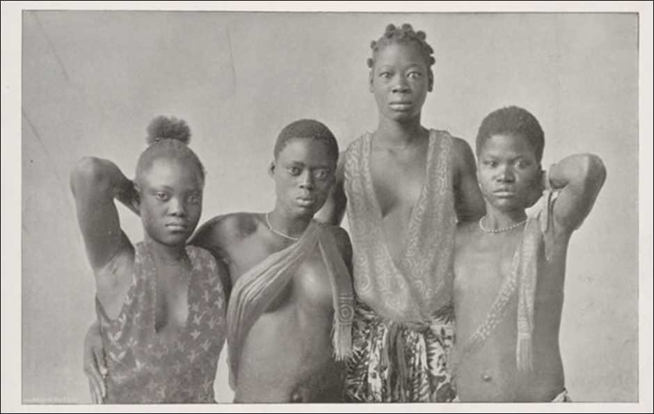 Four Amazons Dahomey Amazon