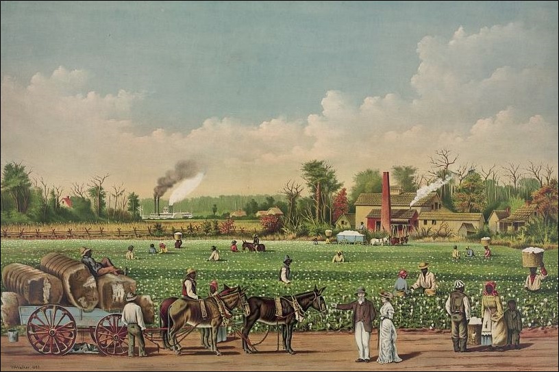 A cotton plantation on the Mississippi, 1884