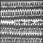 Decks of a slave ship