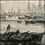 Zanzibar harbour, and fleet of dhows