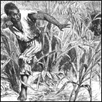 Hunting for an Escaped slave