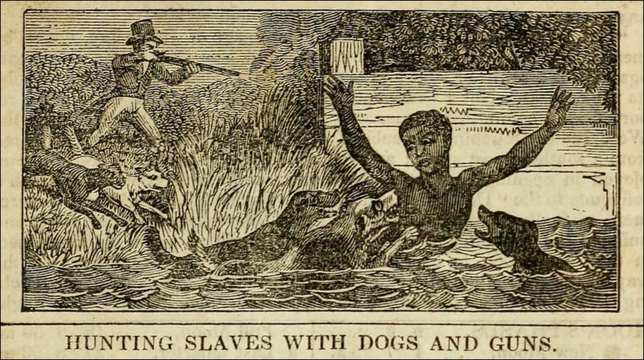 Hunting slaves with dogs and guns