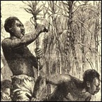 Slaves working on a plantation