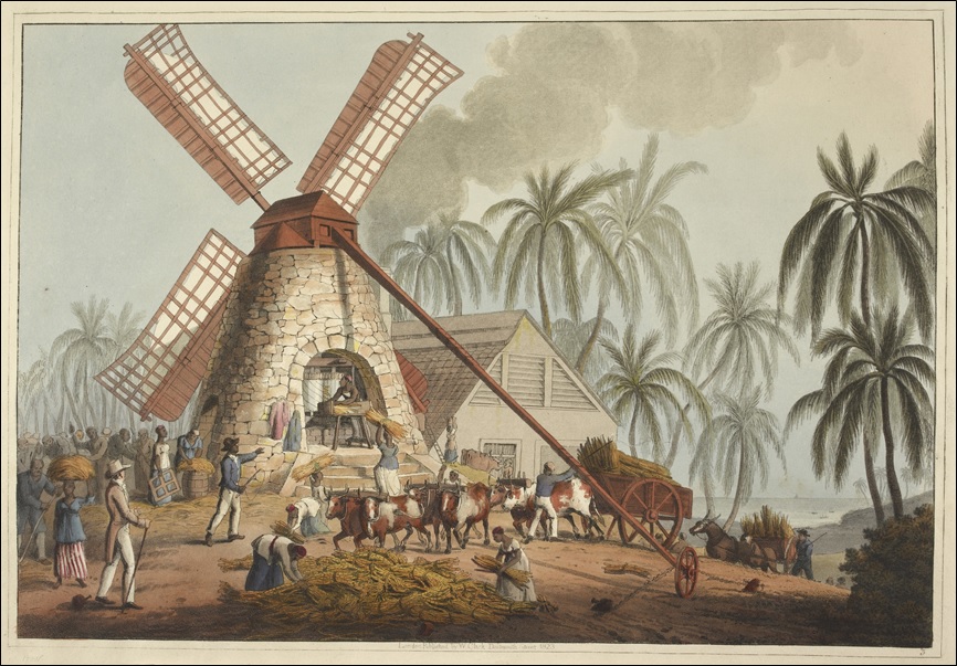 The Mill Yard: Grinding sugar cane in a windmill