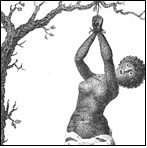 Flagellation of a female Samboe slave