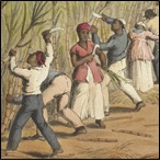 Slaves cutting the sugar cane