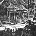 Elevated Dwelling along the Aruwimi