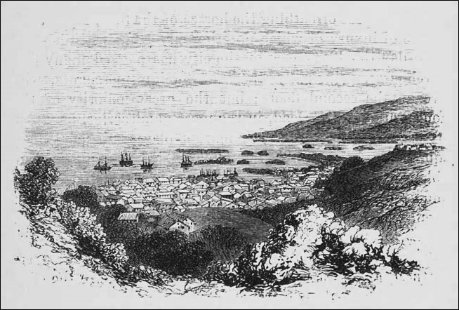 Bay of Port-au-Prince from the House of the United States Minister